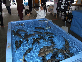 真ふぐ祭り